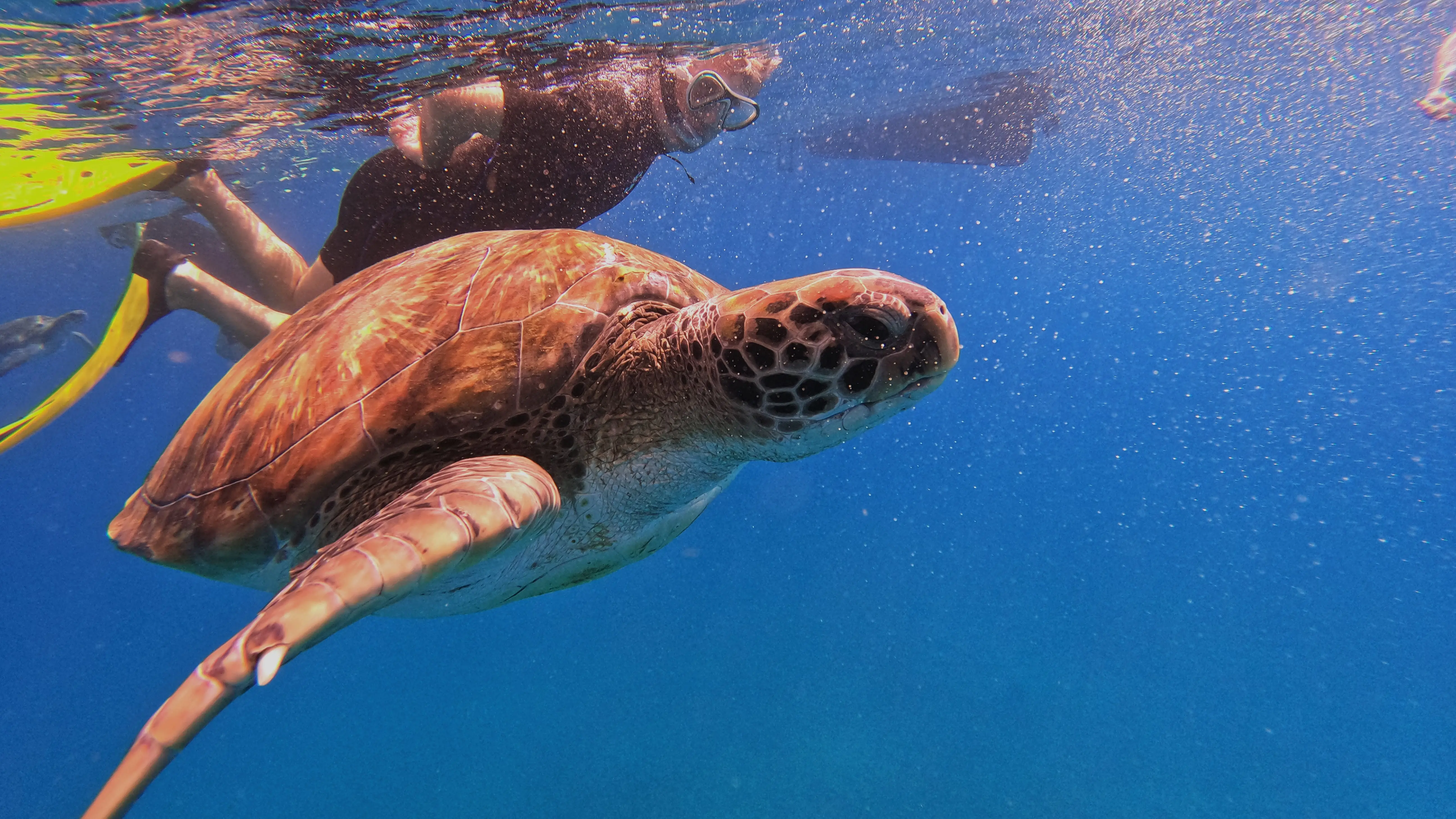 Beach Camping Adventure